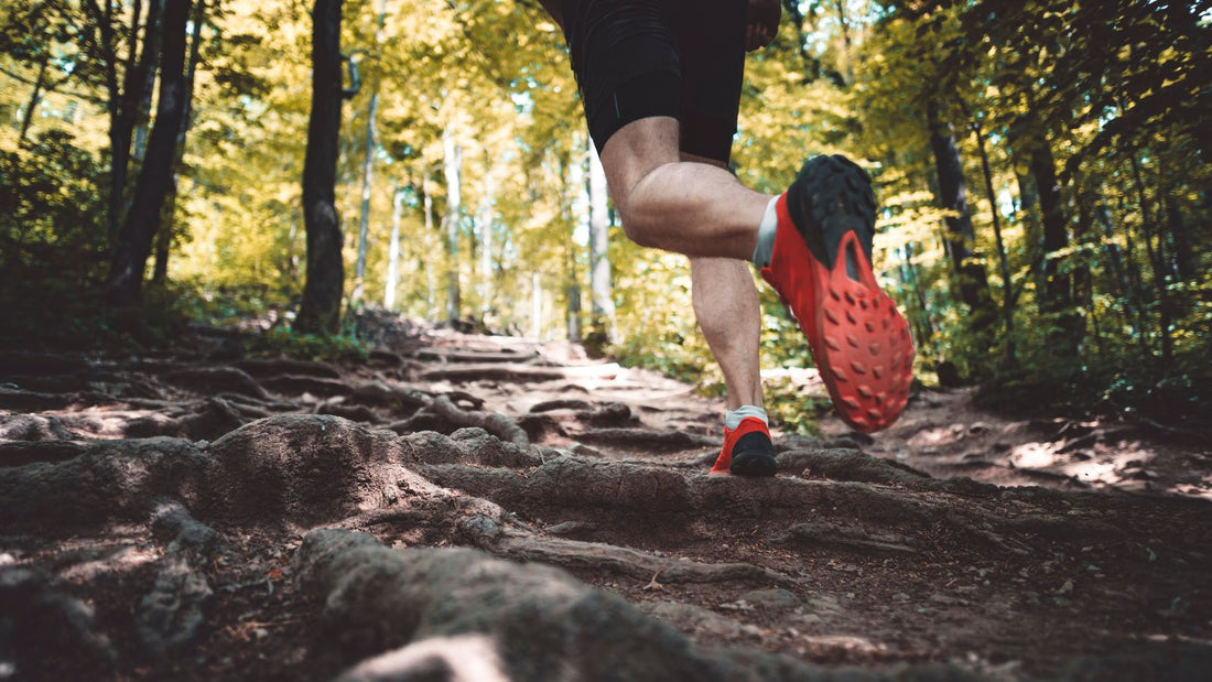 Trail running: A Growing Sport With Countless Benefits