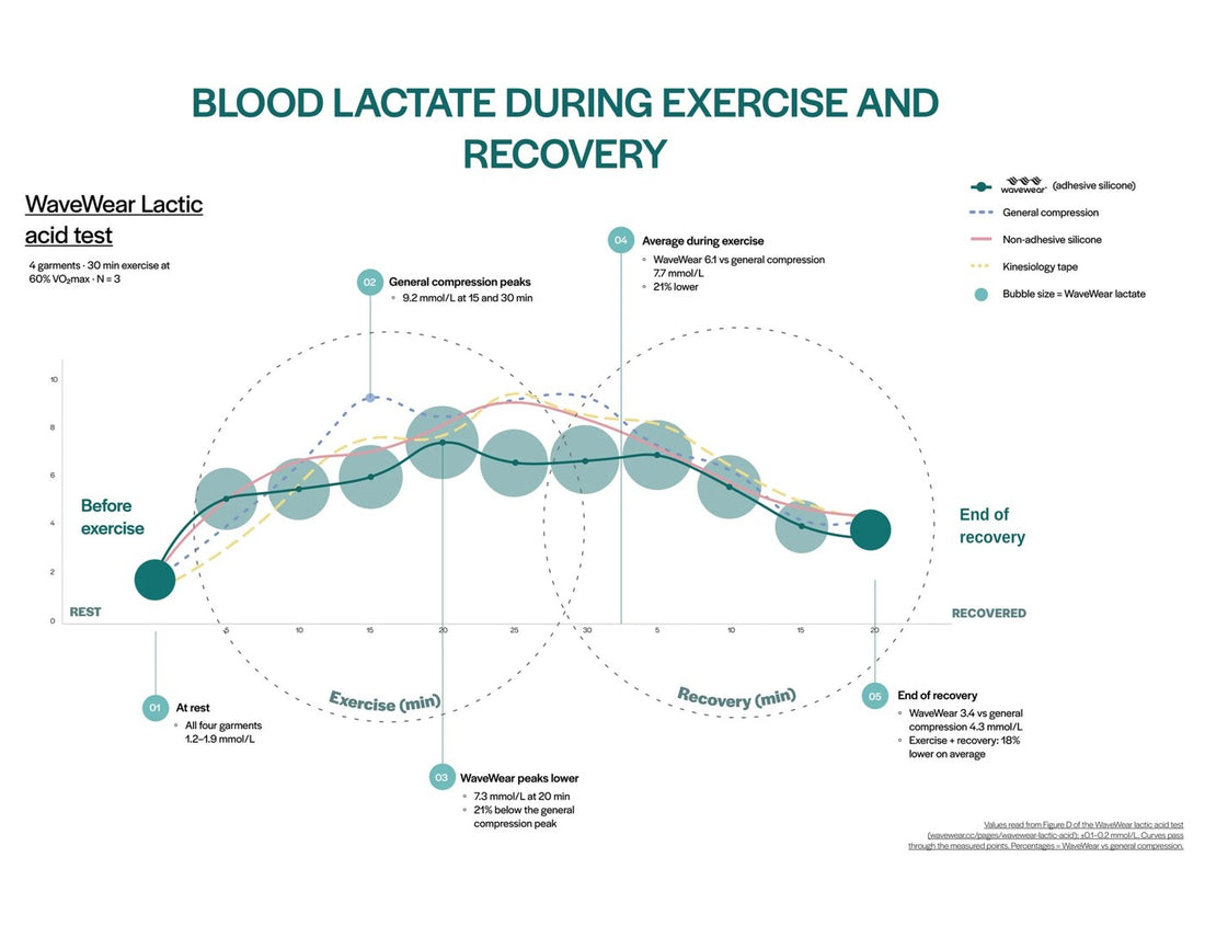 Teal timeline chart from the lactate test: blood lactate during exercise and recovery